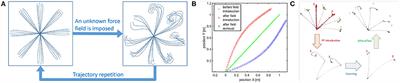 Control Architecture for Human-Like Motion With Applications to Articulated Soft Robots